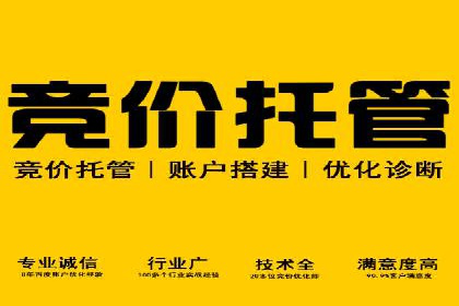 SEM代运营公司案例：揭秘企业营销增长之道